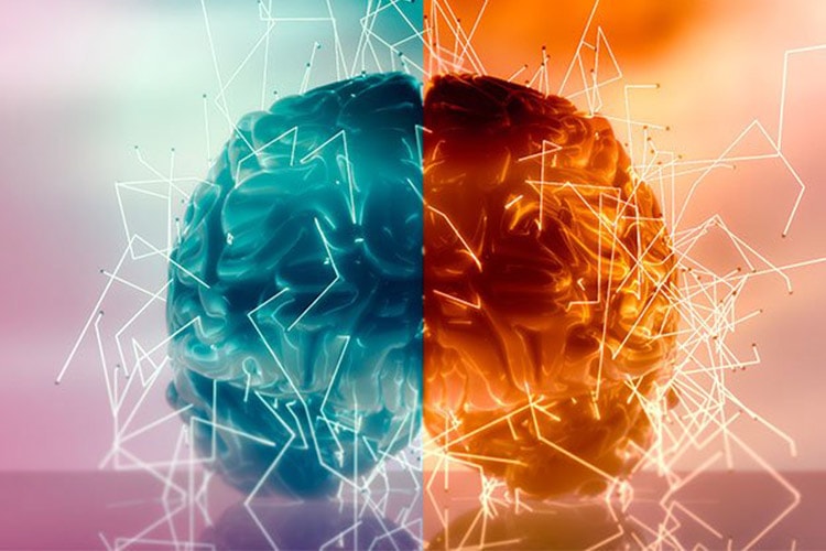 کارکردهای اجرایی مغز-3